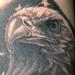 Tattoos - Black and Grey Eagle - 65804