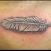Tattoos - feather - 65805