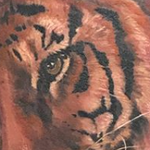 Tiger & Peony  Tattoo Design Thumbnail