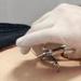 tattoo galleries/ - back corset piercings - 62250