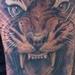 Tattoos - Tiger - 95443