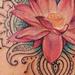 Tattoos - Lotus/Henna - 66194