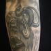 Tattoos - Mammoth - 84069