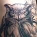 Tattoos - Black & Gray Owl - 88937