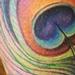 Tattoos - peacock feather - 71888
