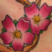 Tattoos - Cherry Blossoms - 54177