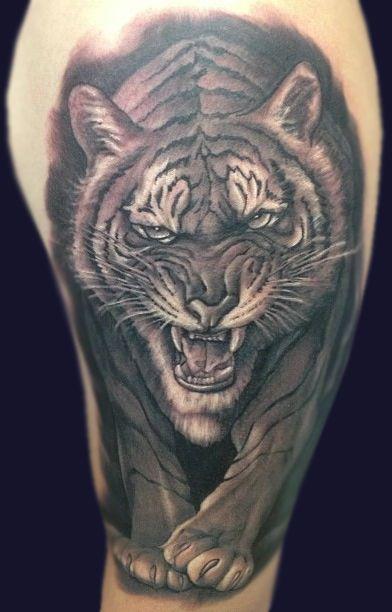 Rudy Lopez - Black and Grey Tiger