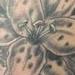 Tattoos - Black and Grey Lillies - 77771