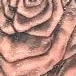 Tattoos - Black and grey roses - 133281