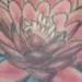 Tattoos - Color Lotus - 76662