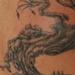Tattoos - Tree - 76651