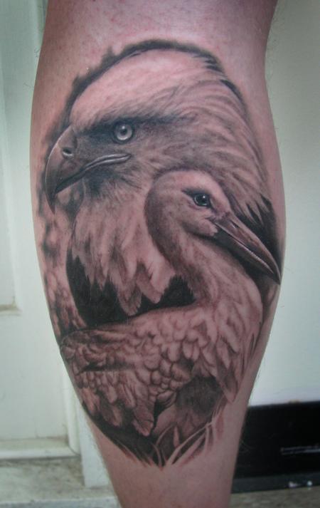 Steve Wimmer - Bald Eagle and Stork