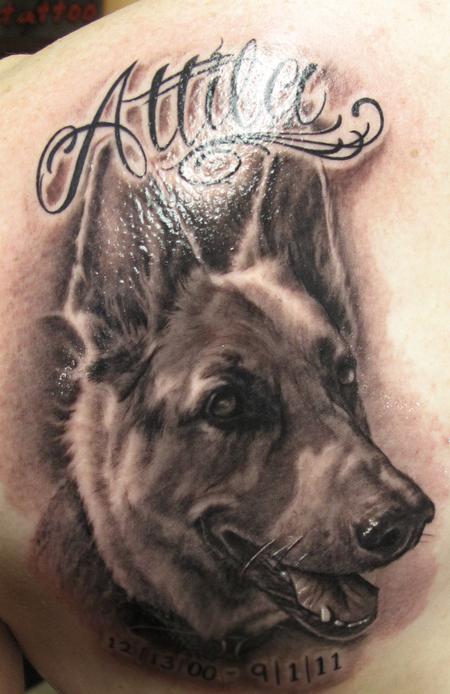 Steve Wimmer - German Shepherd portrait