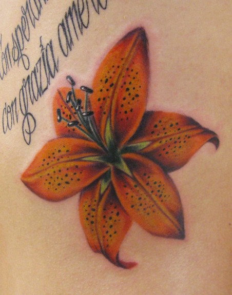 Comments Tiger Lily done on the ribs under some script Comments Tiger Lily done on the ribs under some script