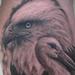 Tattoos - Bald Eagle and Stork - 58696