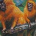 Tattoos - Monkeys on a Branch - 52419