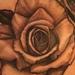 Tattoos - Black and Gray Roses - 91570