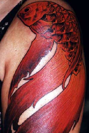 Tattoos Nic Skrade Red Coi click to view large image Tattoos Nic Skrade Red Coi click to view large image