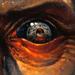 Tattoos - detail, War Hero: Grand Moff Tarkin - 63030