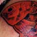 tattoo galleries/ - Red Coi - 6608