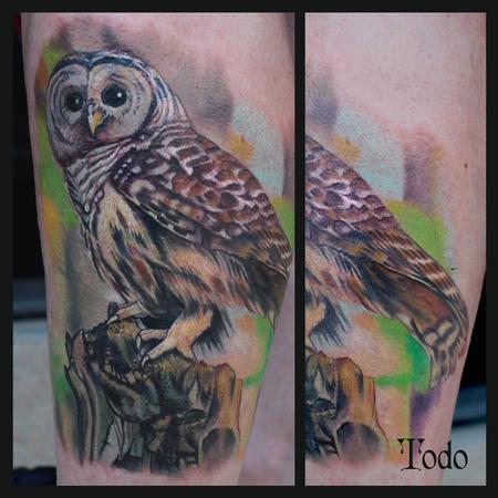 Tattoos - Barred Owl - 92158