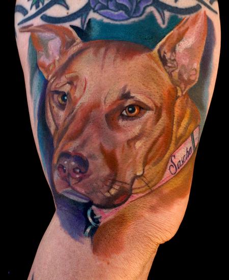 Tattoos - PitBull Portrait - 61365