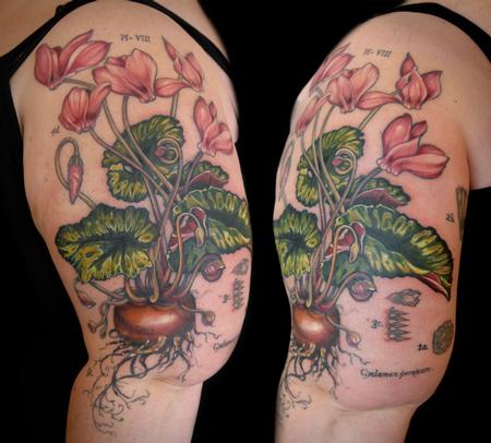 Tattoos - cyclamen flower tattoo vintage botanical - 131944