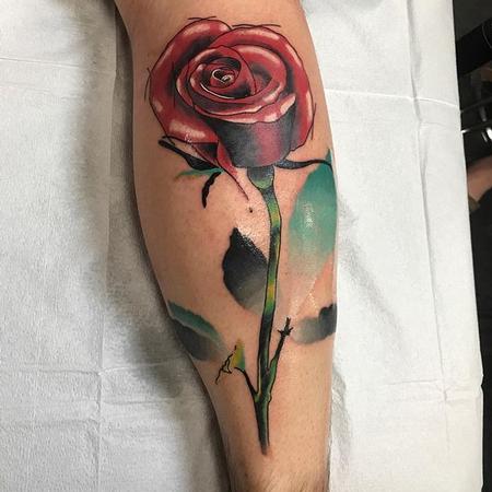 Tattoos - Illustrative Rose - 132039