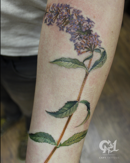 Tattoos - Butterfly Bush Tattoo  - 124860