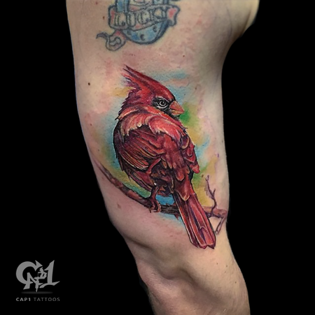 Tattoos - Cardinal Bird Tattoo - 124934
