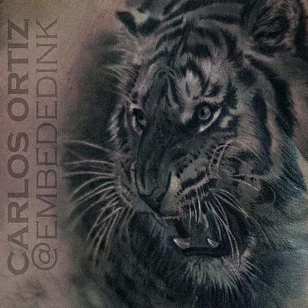 Tattoos - Black and Grey Tiger - 132031