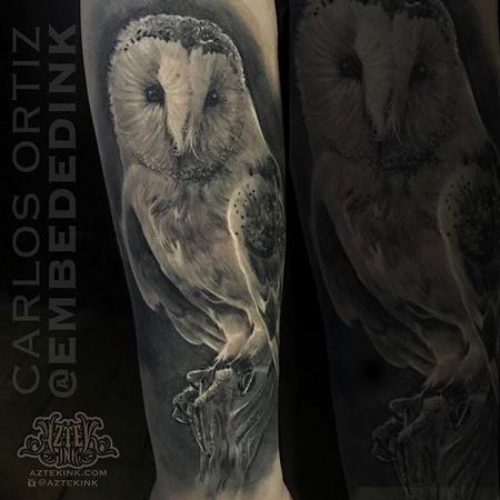 Tattoos - Black and Grey Owl - 132036
