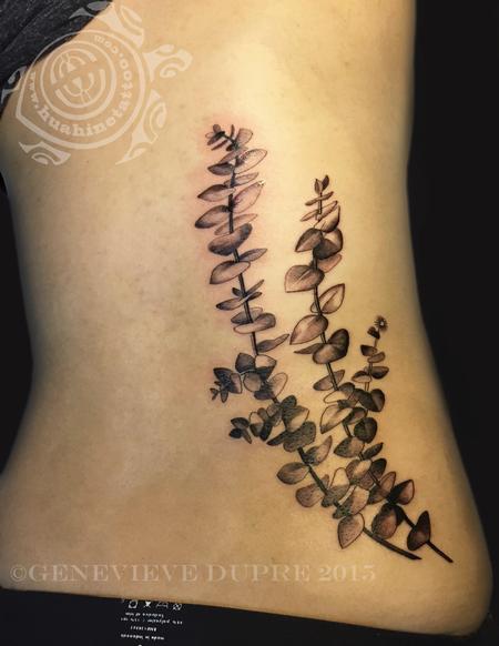 Tattoos - Eucalyptus - 126847