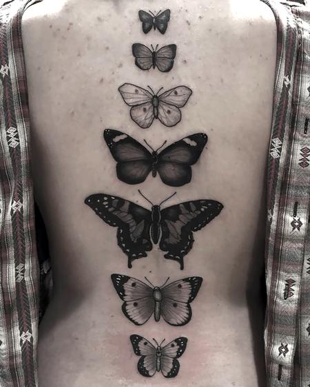 Tattoos - Black and Grey Butterflies - 116845