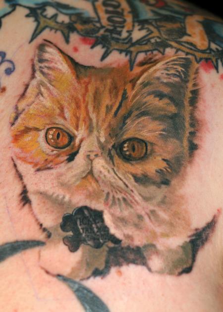Tattoos - cat portrait tattoo - 84453