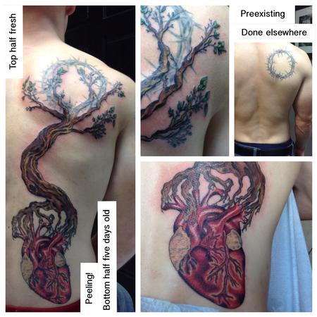 Tattoos - Heart Tree - 106162