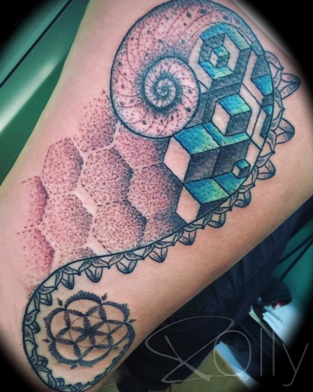 Tattoos - Geometric shell design - 122984