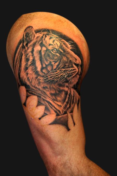Tattoos - Tiger portrait - 102438