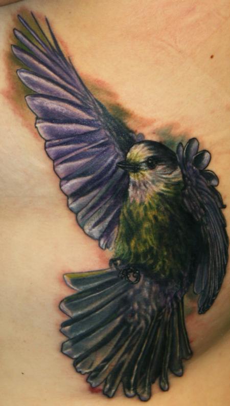 Tattoos - Finch - 64543