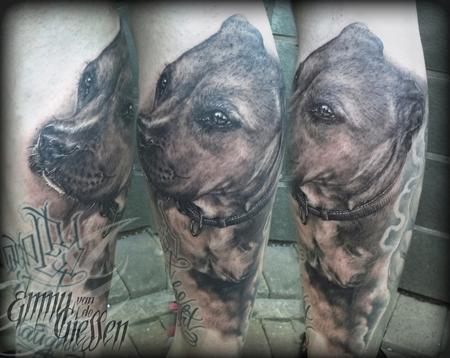 Tattoos - Cashmir - American Staffordshire - 64711