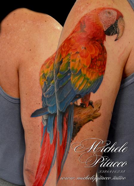 Tattoos - Parrot - 126797