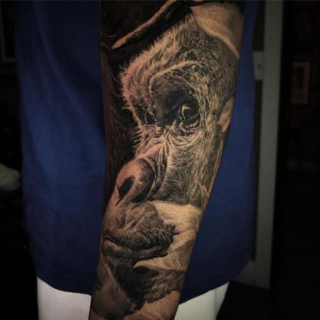 Tattoos - Gorilla Tattoo - 139547