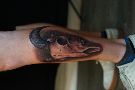 Ryan Cumberledge - Ryan Cumberledge Ram Skull