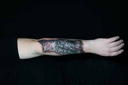 Tattoos - Sadie Gabriella Owl - 142709