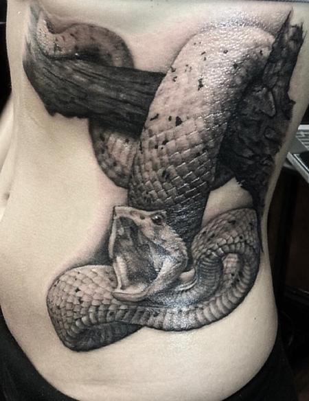 Shawn Monaco - Realistic Black and Grey Snake