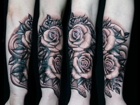 Ryan Cumberledge - Ryan Cumberledge Roses