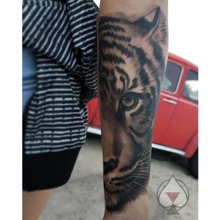 Tattoos - Black and grey Tiger - 132002