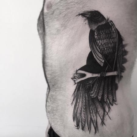Tattoos - crow sketches - 128008