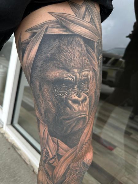 Brandon Dailey - Gorilla in bamboo