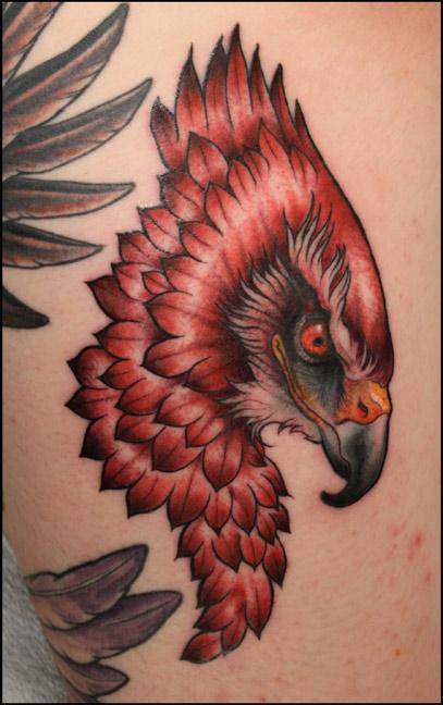 Tattoos - hawk - 68666